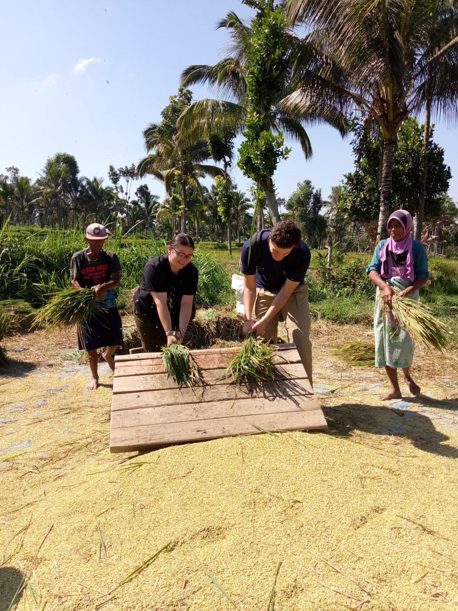 Syaqila Homestay Lombok เตเตบาตู ภายนอก รูปภาพ