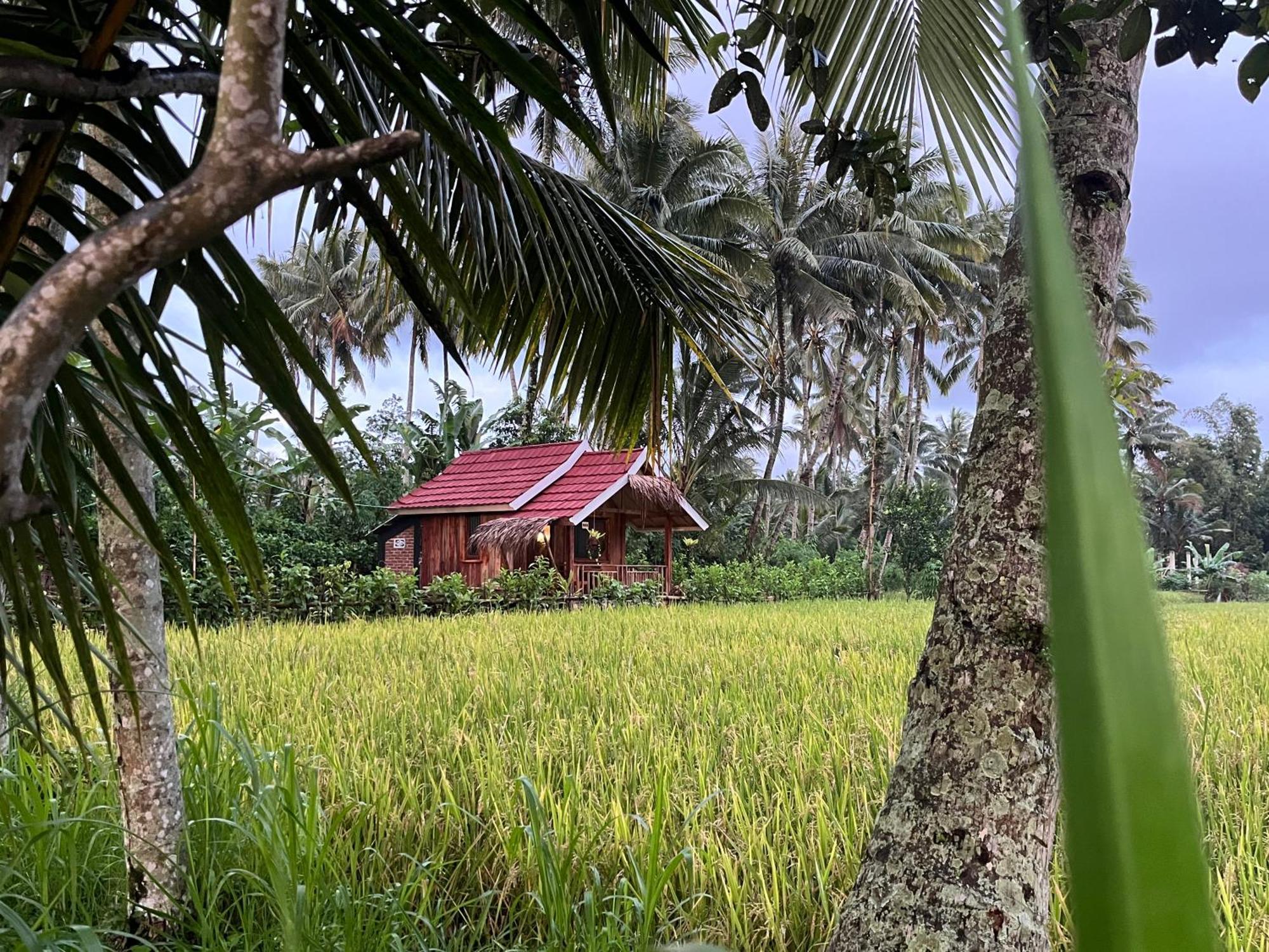 Syaqila Homestay Lombok เตเตบาตู ภายนอก รูปภาพ