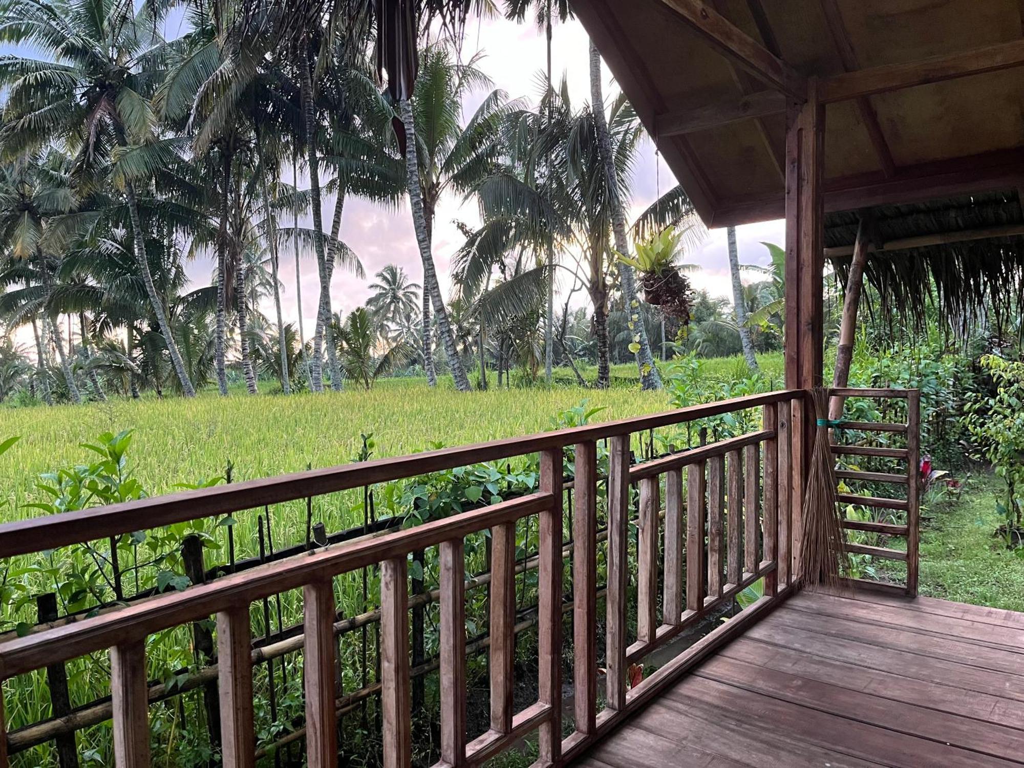 Syaqila Homestay Lombok เตเตบาตู ภายนอก รูปภาพ