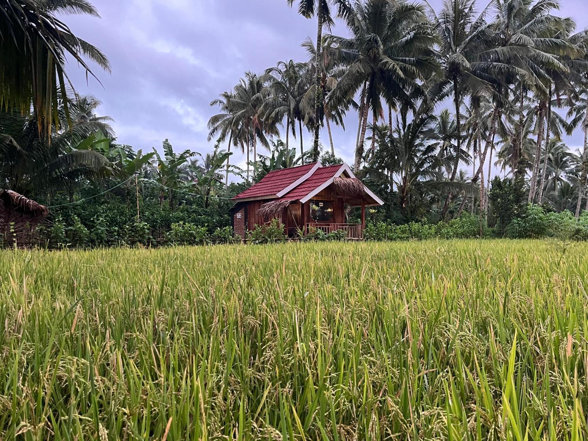 Syaqila Homestay Lombok เตเตบาตู ภายนอก รูปภาพ